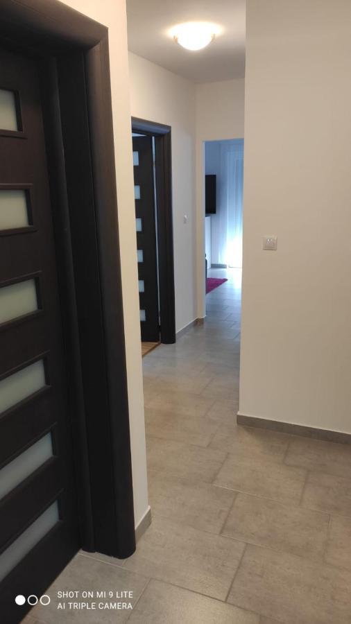 Apartmani Gavran ピロヴァッツ エクステリア 写真